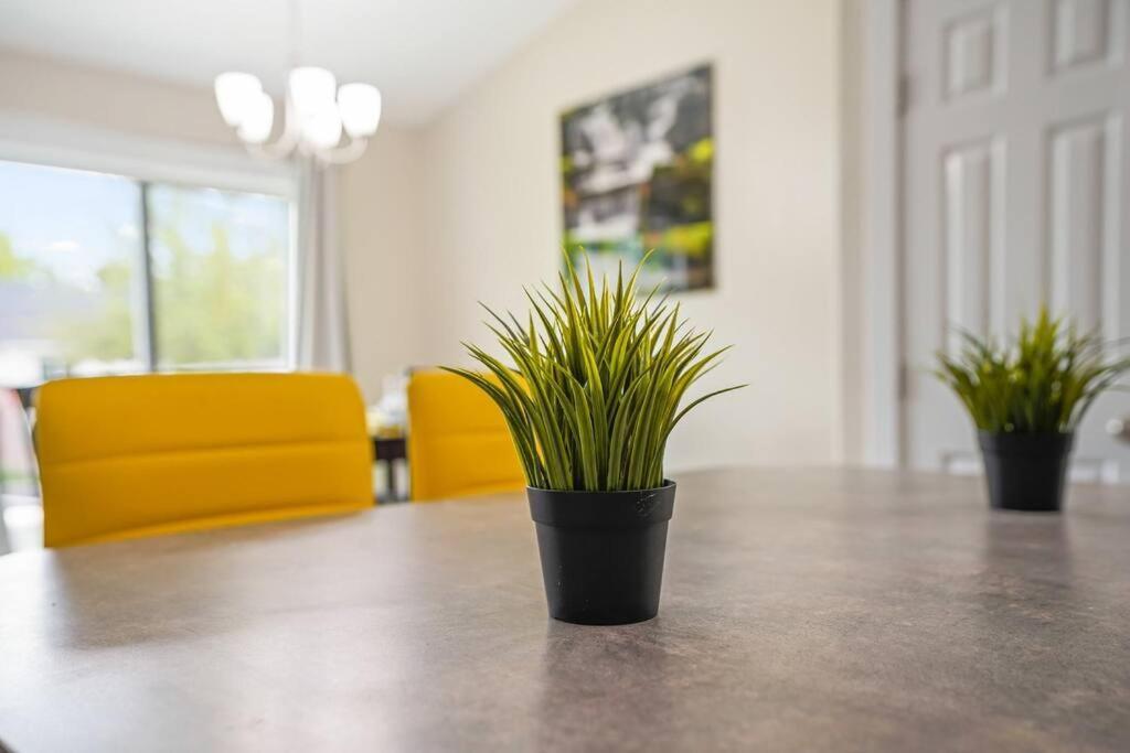 Remodeled, Charming Retreat On The City'S Doorstep Бойсе Екстериор снимка
